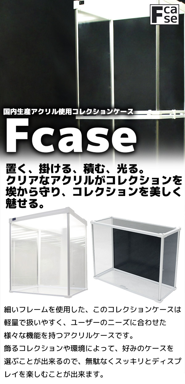 Fケース CUBE BOXα